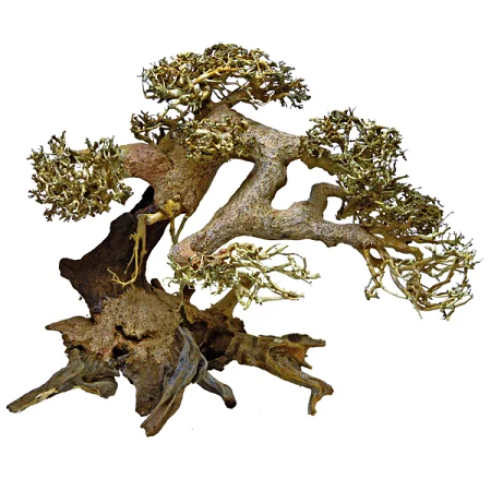 SuperFish Bonsai Driftwood - Afbeelding 4